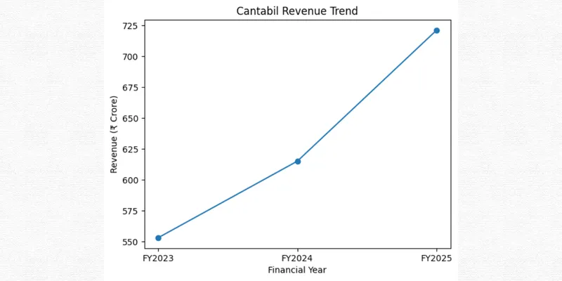 CANTABIL RETAIL INDIA LTD –COMPANY ANALYSIS REPORT